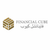 Financial Cube