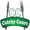catchycourtproduct profile image