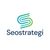 Seo Strategi