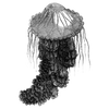 aimeeleondore profile image