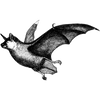 mhintellect profile image