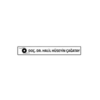 Halil Hüseyin Çağatay profile picture