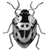 gineganu