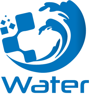 Blue Water Digital profile picture