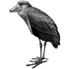 cheyenne profile image