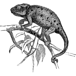 posode8417 profile picture