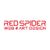 RedSpider Web and Art Design