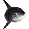 kinzenoreviews profile image