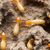 M&R Termite Solutions