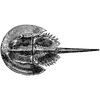 millerenglish profile image