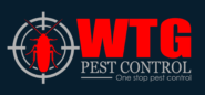 Cover image for Ant treatment pest control