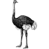 samhenry profile image