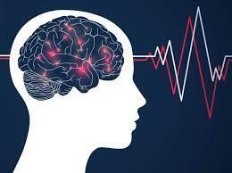 Cover image for What Makes Executive Private Rehab Calgary Different from Traditional Rehab