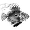cuspdental profile image
