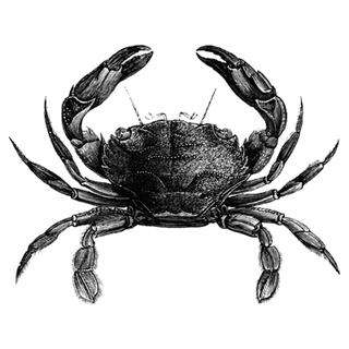 larchvaultmere profile picture