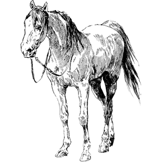 uywef profile picture