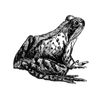 robinson profile image