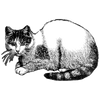 nezertronixpro profile image