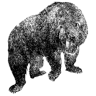 Zaggi profile picture