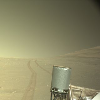 Daisy Daise profile picture