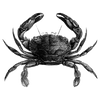 larchvaultmere profile image