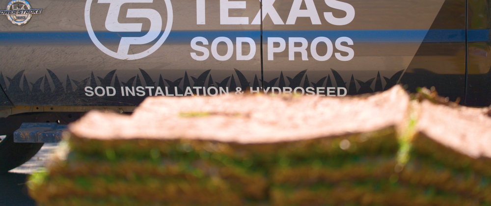 Cover image for How to Choose the Best Sod Installation Company for Your Lawn
