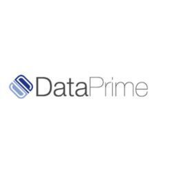 Data Prime Solutions profile picture