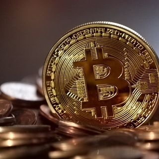 Joshua Fox profile picture