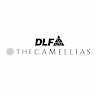 dlfcamellias profile image