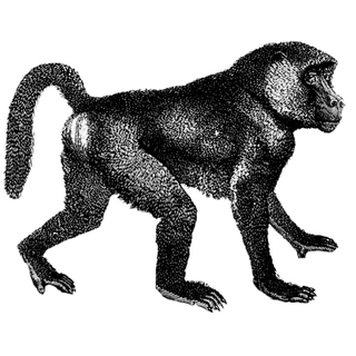 BitStarz Code profile picture