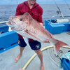 fishcharters profile image