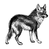 blackstone profile image