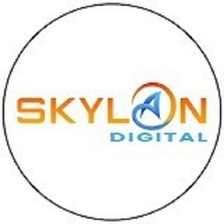 SEO Skylan profile picture