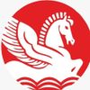 singhal_industries_a3cc90 profile image