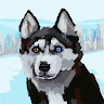 jj_yang_3ae8e48339d345c6e profile image
