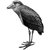 squid12