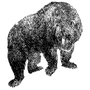 corevalin profile
