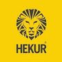 hekur_fd4ee9df42551151ba9 profile