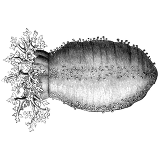 james smith  profile picture