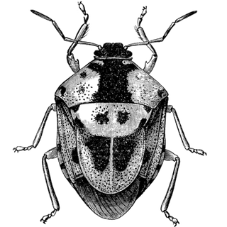 okx_bonus_code777 profile picture