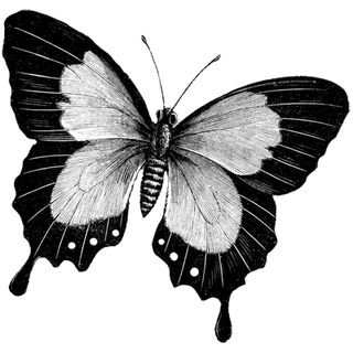 uJIlWryqK profile picture