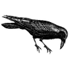 finacus1 profile image