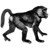 angiedennis profile image