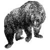 johncodes profile image