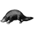Rahul Kumar