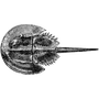 millerenglish profile