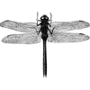 lucianprice profile image