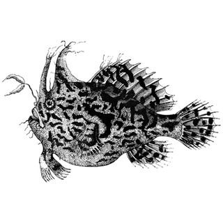 oGOQRlwDAUJNQ profile picture