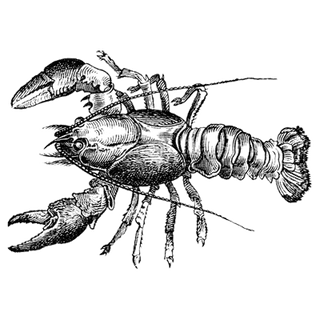 Henry Philip profile picture