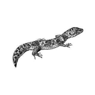 uhgepiuw profile picture